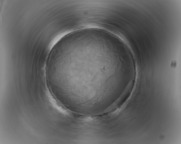 X0000113050814200908271529