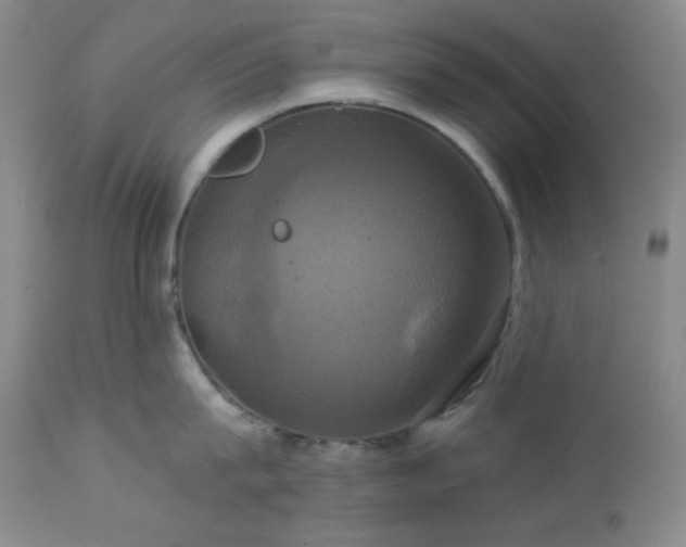 X0000113050815200908271529