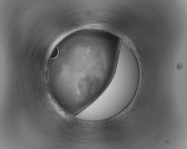 X0000113050816200908271529