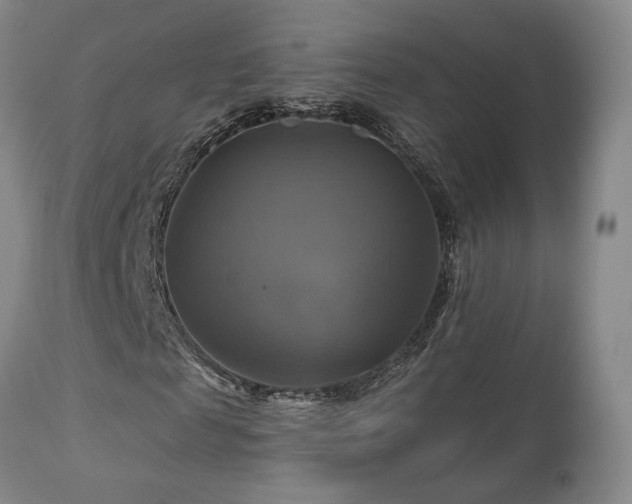 X0000113050817200908271528