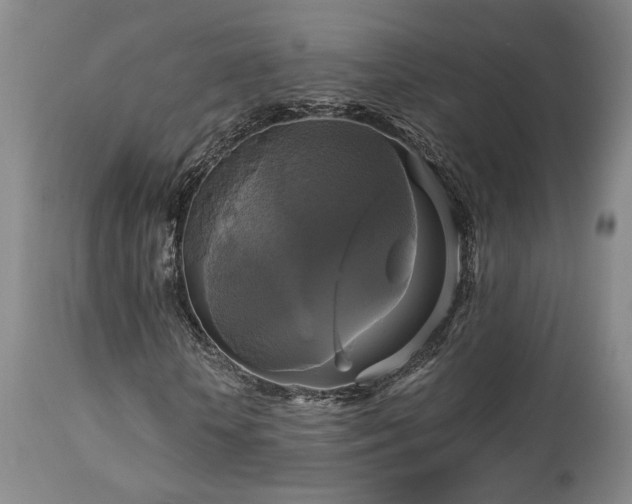 X0000113050818200908271528
