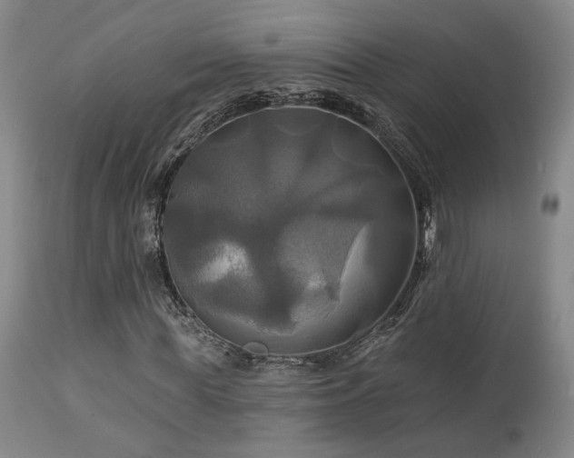 X0000113050819200908271528