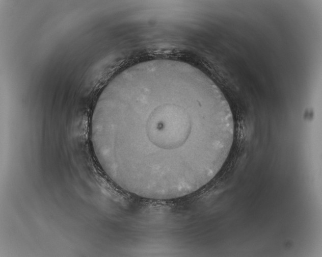 X0000113050820200908271528