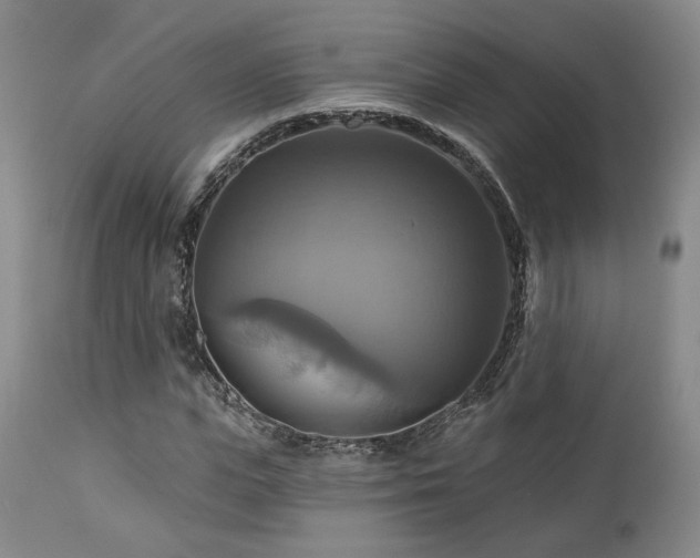 X0000113050823200908271528