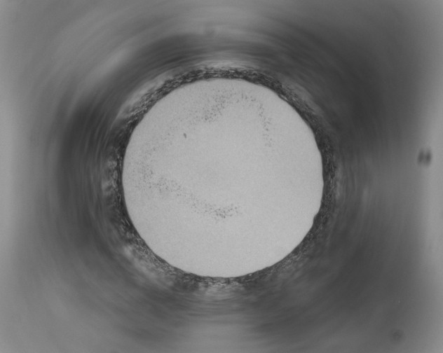 X0000113050824200908271528