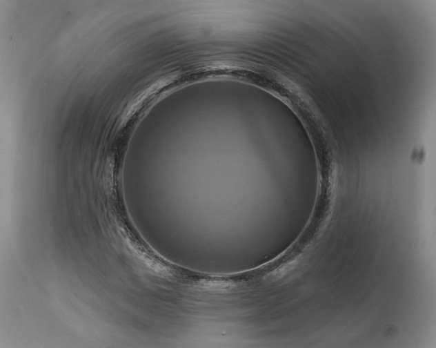 X0000113050825200908271528