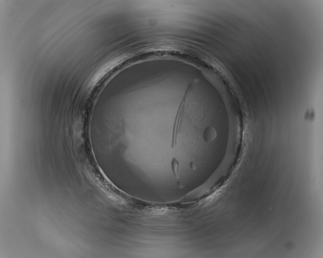 X0000113050826200908271528