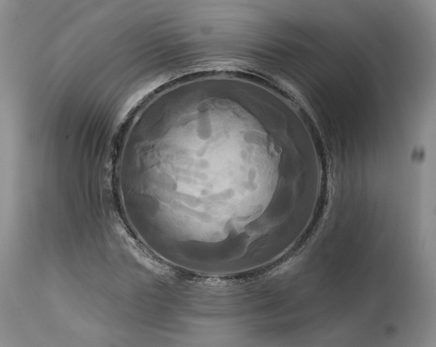X0000113050827200908271528