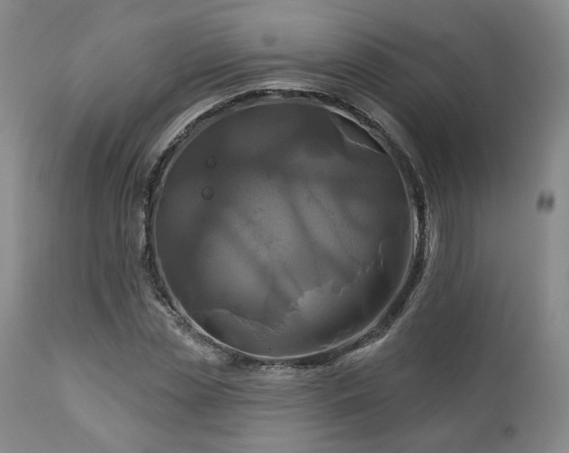 X0000113050829200908271528