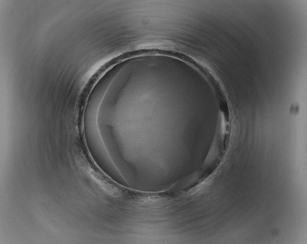 X0000113050830200908271528