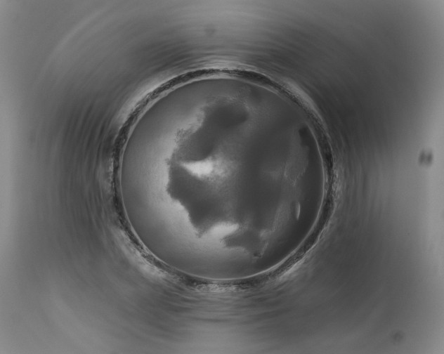 X0000113050831200908271528
