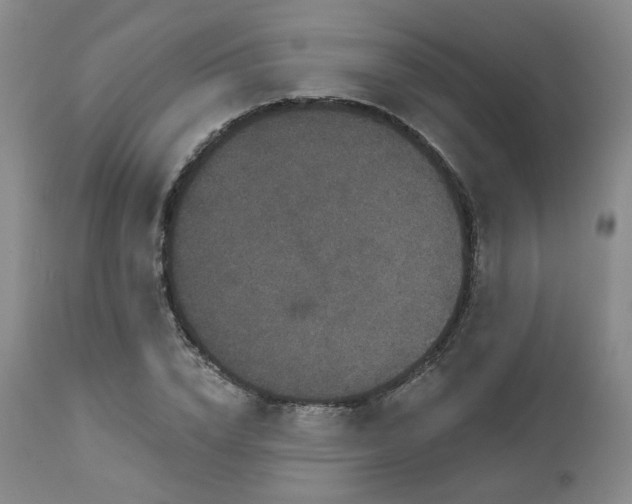 X0000113050832200908271528