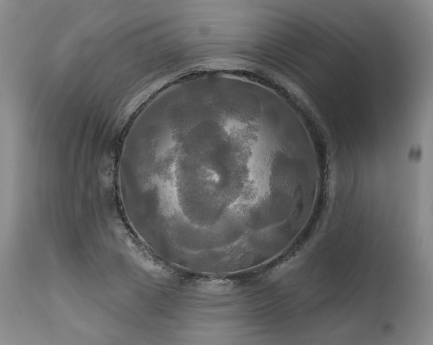 X0000113050833200908271528