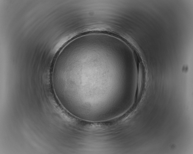 X0000113050834200908271528