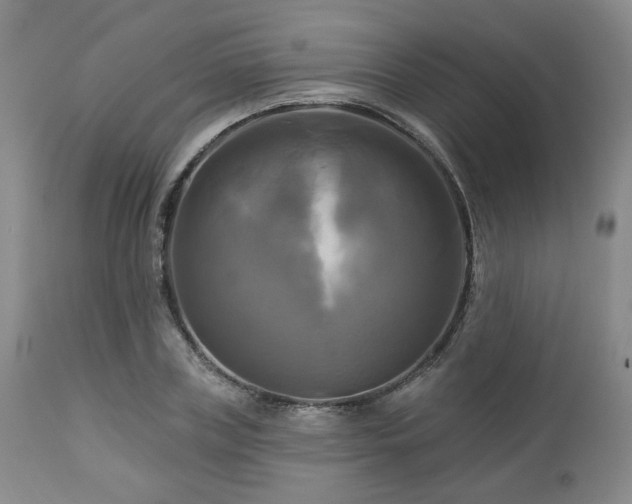 X0000113050835200908271528