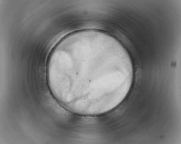X0000113050836200908271528