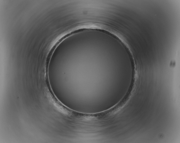 X0000113050837200908271528