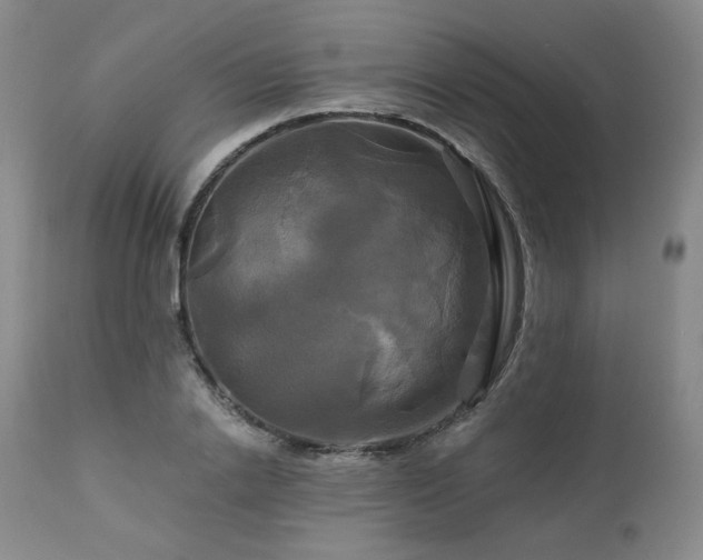 X0000113050838200908271528