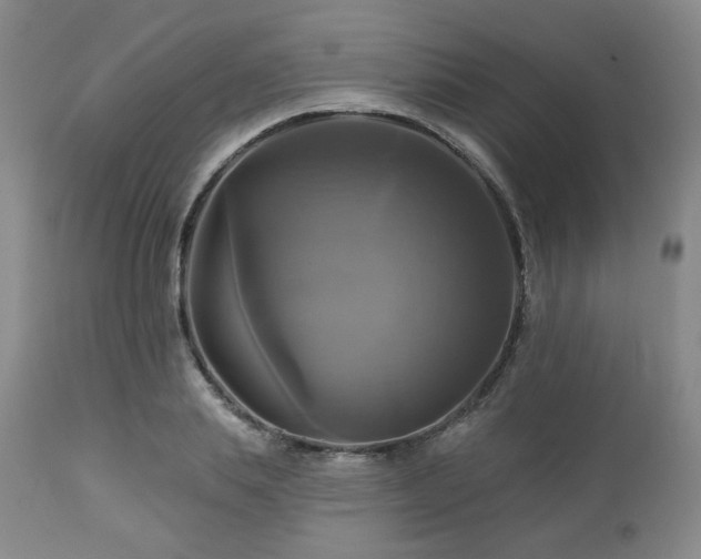 X0000113050839200908271528