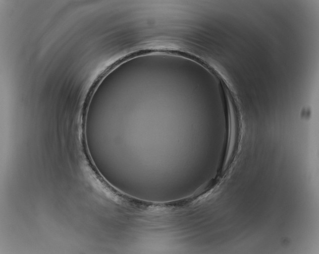 X0000113050840200908271528