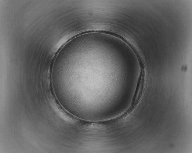 X0000113050842200908271529