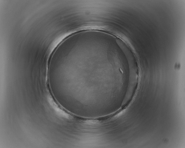 X0000113050844200908271529