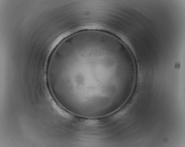 X0000113050845200908271529