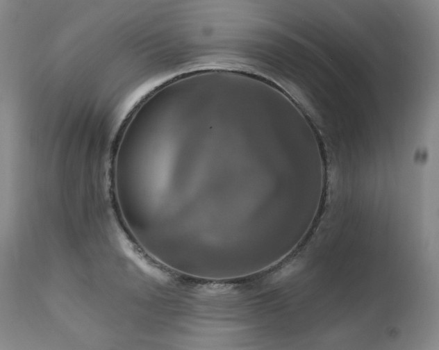 X0000113050846200908271529