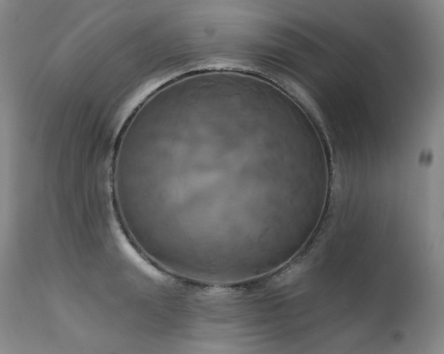 X0000113050847200908271529
