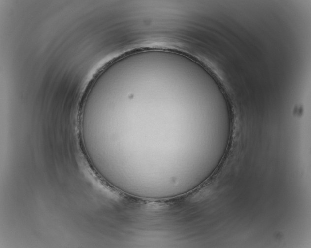 X0000113050848200908271529