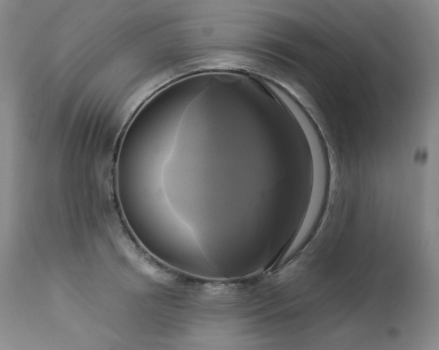 X0000113050850200908271529
