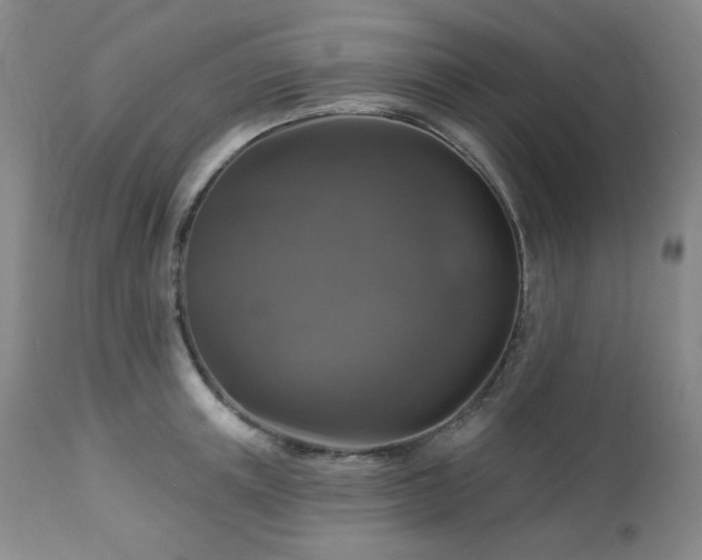 X0000113050851200908271529
