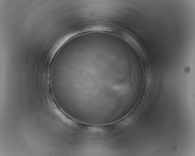 X0000113050852200908271529