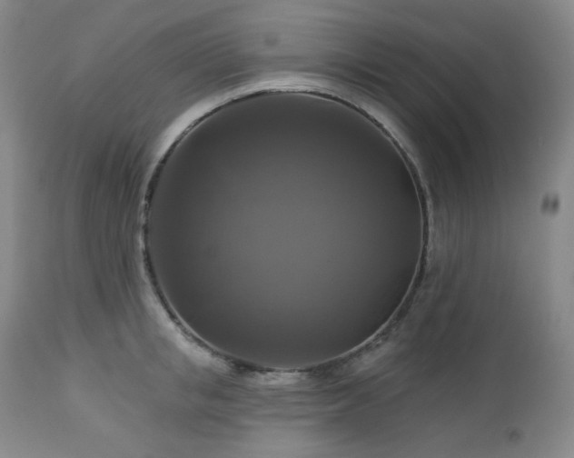 X0000113050853200908271529