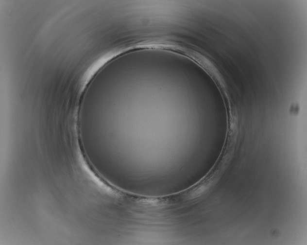 X0000113050855200908271529