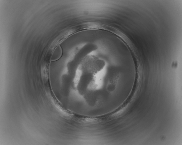 X0000113050857200908271529
