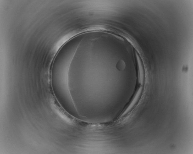 X0000113050858200908271529