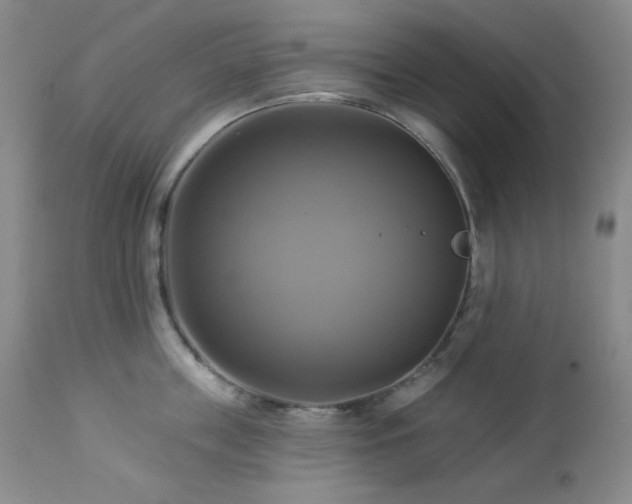X0000113050859200908271529