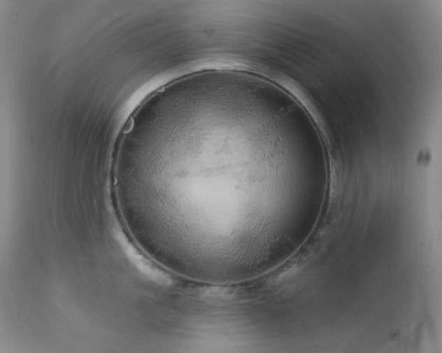 X0000113050861200908271529