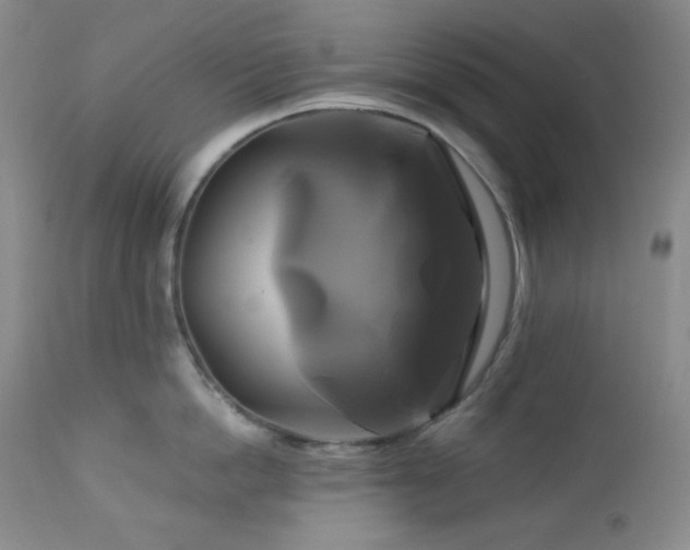 X0000113050862200908271529