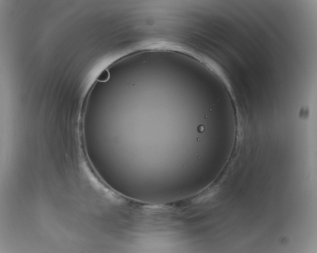 X0000113050863200908271529
