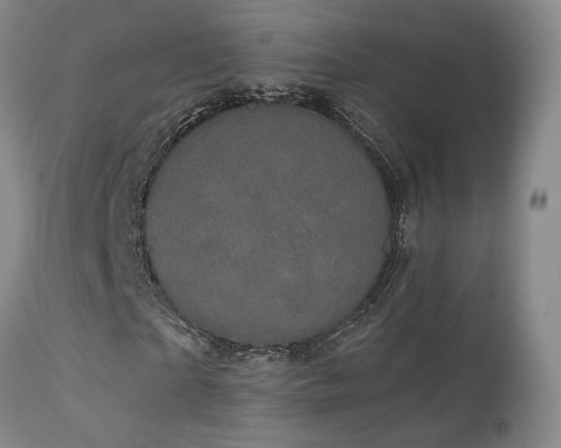 X0000113050865200908271528