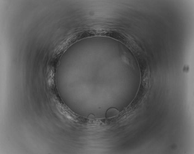 X0000113050866200908271528