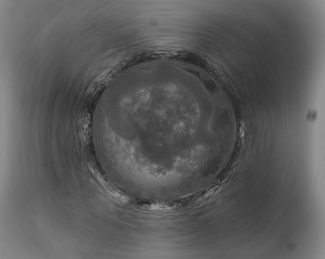 X0000113050867200908271528
