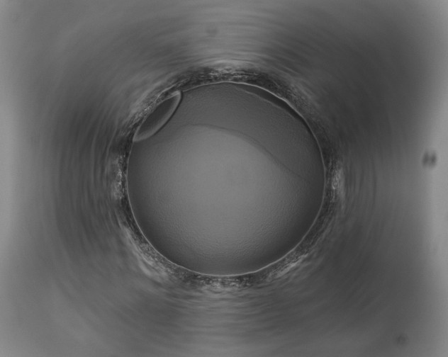 X0000113050868200908271528