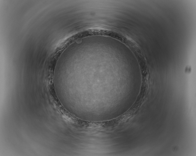 X0000113050870200908271528