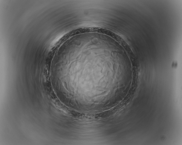 X0000113050871200908271528