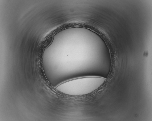 X0000113050872200908271528