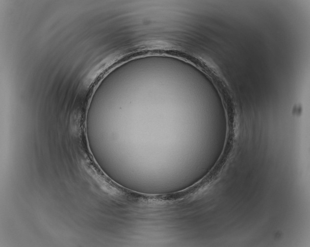 X0000113050873200908271528