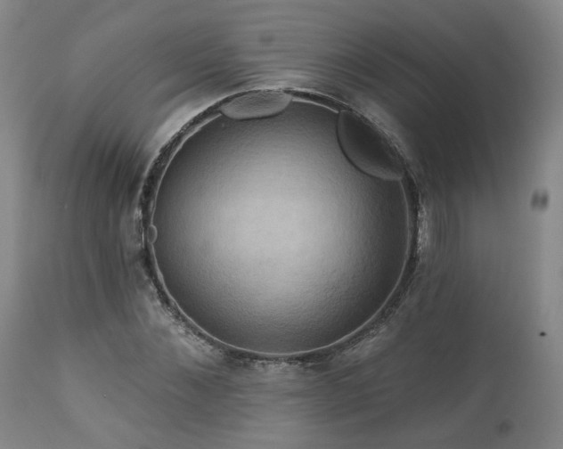 X0000113050876200908271528